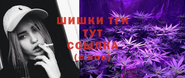 винт Надым