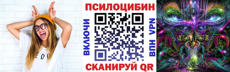 сколько стоит  Колпашево  Галлюциногенные грибы мицелий 
