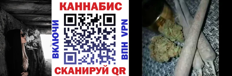 Канабис сатива  Колпашево 