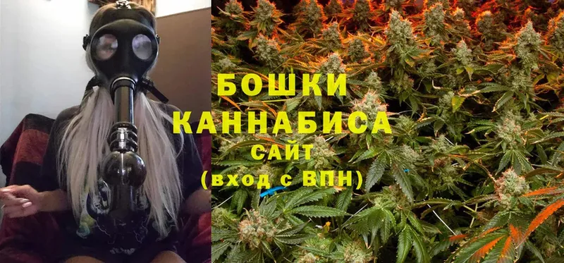 Бошки Шишки OG Kush  купить наркотик  Колпашево 